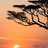 Profile picture of Riaan Josua Swart
