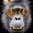 Profile picture of NATHAN NGO