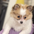 Profile picture of Rose Victor
