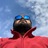 Profile picture of Pranay Nigotiya