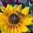 Profile picture of Cortnie Goodin