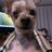 Profile picture of Mary Ann Lukin