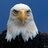 Profile picture of Michael Rakow