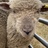 Profile picture of Christine Hayes