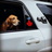 Profile picture of Grab Life Overland