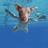 Profile picture of Brett Starrett