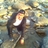 Profile picture of Temur Nurgohin
